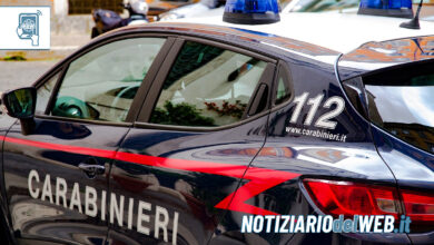 Operazione antidroga a Torino: fermato traffico dal Nordafrica Carabinieri