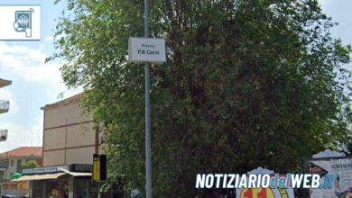 Autista GTT aggredito a Rivalta di Torino