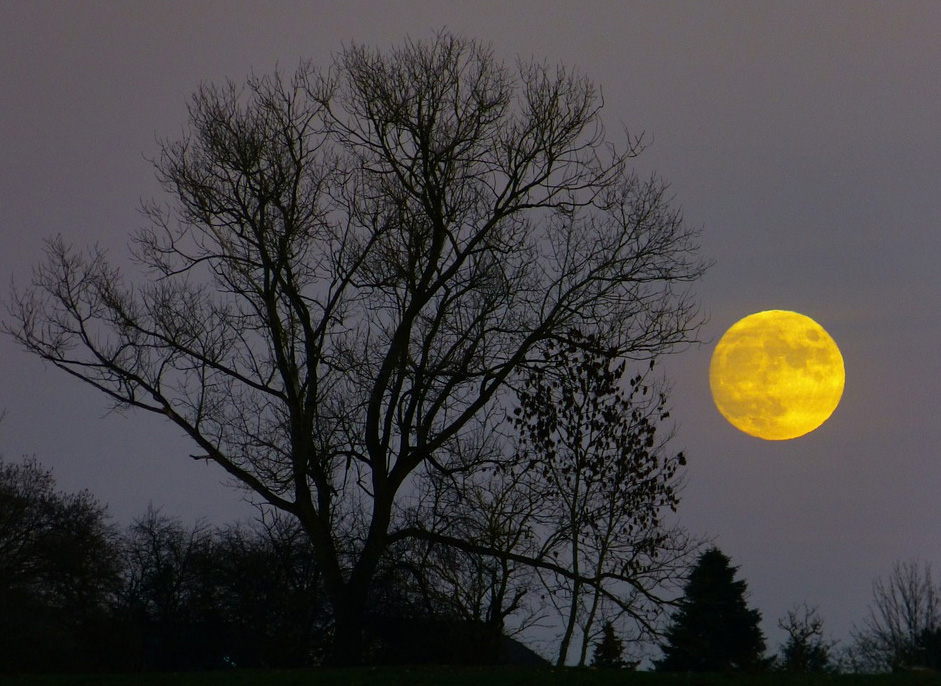 Superluna del Cervo 2022 Torino orario e data della Luna piena