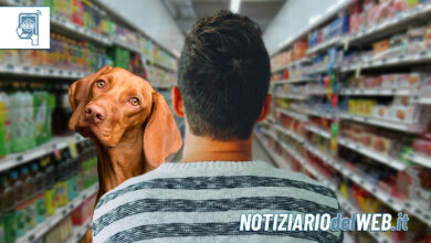 Cani nei supermercati, il sì dal Ministero della Salute Purché si garantisca la sicurezza dei cibi