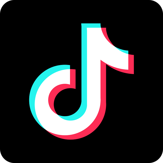 Il PD richiede la rimozione di TikTok dai dispositivi governativi