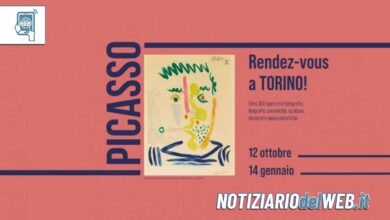 Mostra Picasso Torino