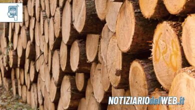 Rafforzamento della Filiera del Legno in Piemonte Una Svolta per lo Sviluppo Economico Locale